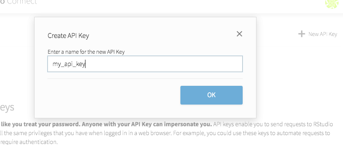 Dialog titled Create API Key with the name 'my_api_key' entered.